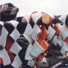 Image of blubber hanging on logs