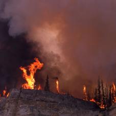 On the shores of the Mackenzie River across from Fort Good Hope (Dehcho).