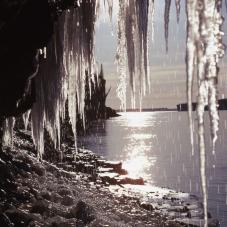 Near Fort Good Hope (Radeyilikoe) in the fall. Groundwater drips from the top of the Ramparts and freezes on it's way down.