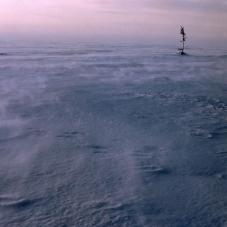 Great Bear Lake (Sahtú), in February.