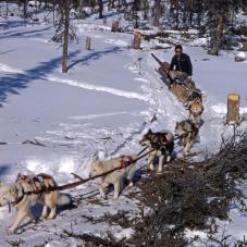In March 1968, Jimmy Mackeinzo brought firewood home. At that time, all the houses in the village were heated with wood.
