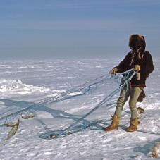 Ice fishing, Great Bear Lake (Sahtú) 1968.