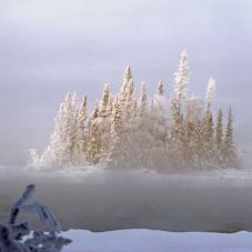 An island on the Slave River (Desnedé), downstream from Fort Fitzgerald (Tthebatthıé). The temperature was -°40 C. Photo taken February 10, 1985.