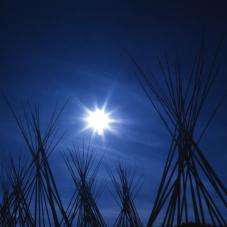 Teepee poles waiting for the canvas.