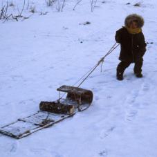 A child hauls wood.