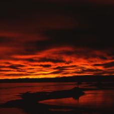 Near the Arctic Circle in November, when the sun never rises, not even at noon.