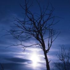 Near Willow Lake, 1986.