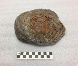 Stromatolite