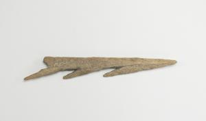 Fish spear
